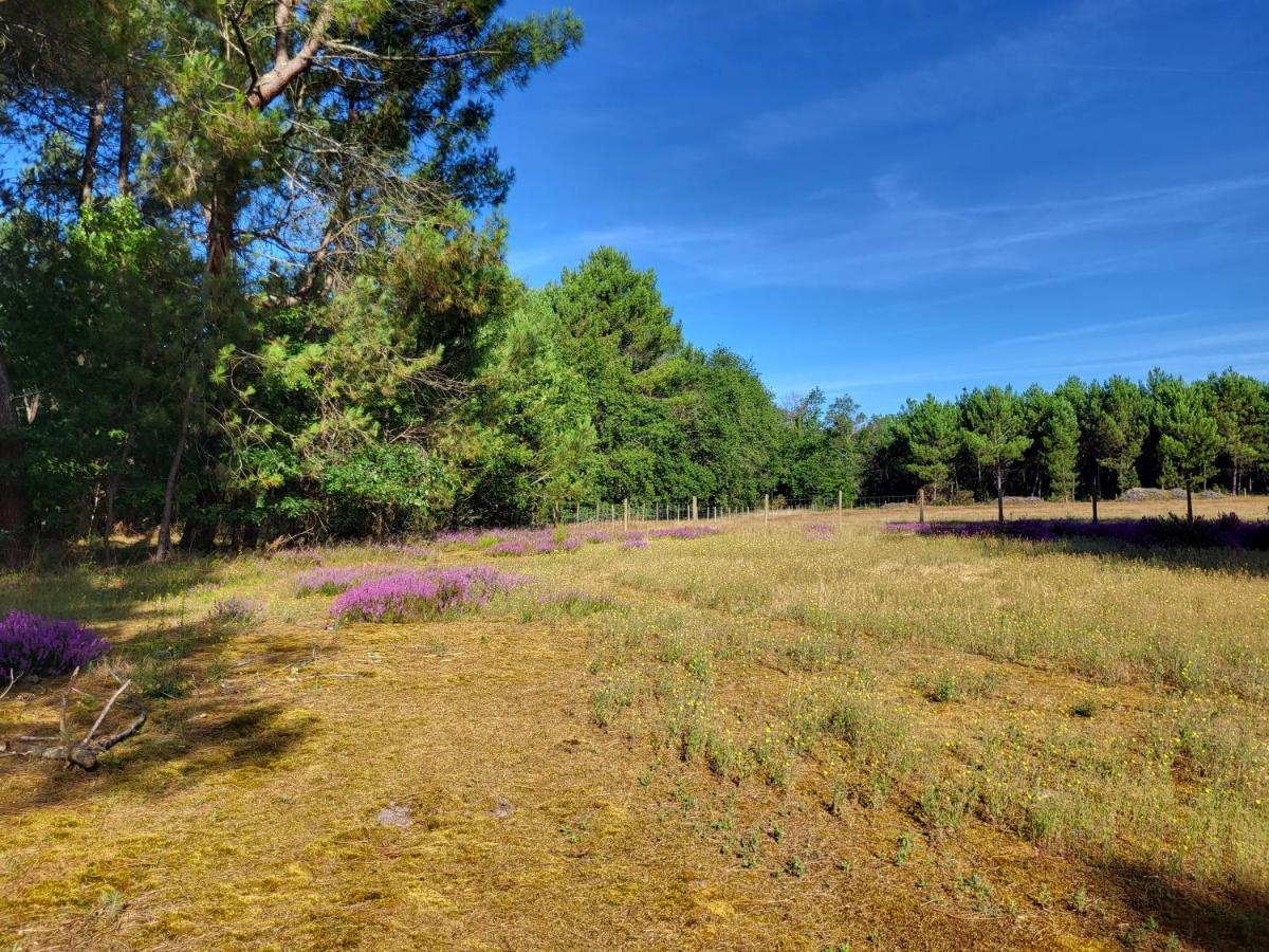 Domaine De La Sarrotte Bed & Breakfast Saugon Bagian luar foto